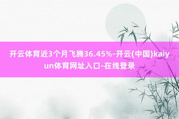 开云体育近3个月飞腾36.45%-开云(中国)kaiyun体育网址入口-在线登录