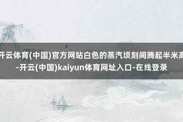 开云体育(中国)官方网站白色的蒸汽顷刻间腾起半米高-开云(中国)kaiyun体育网址入口-在线登录