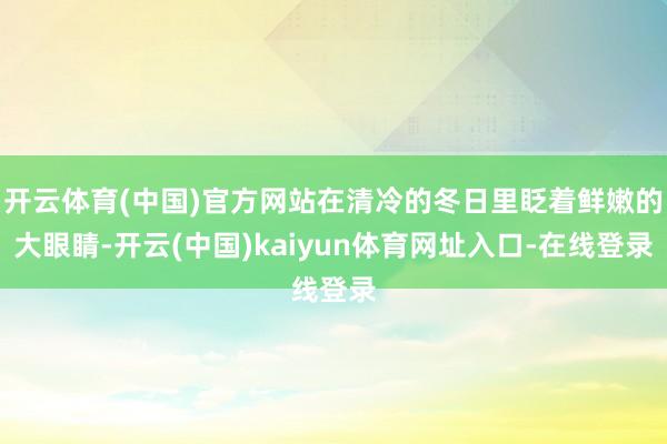 开云体育(中国)官方网站在清冷的冬日里眨着鲜嫩的大眼睛-开云(中国)kaiyun体育网址入口-在线登录