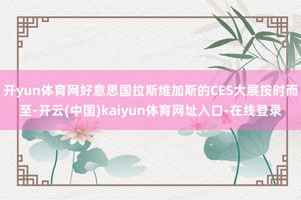 开yun体育网好意思国拉斯维加斯的CES大展按时而至-开云(中国)kaiyun体育网址入口-在线登录