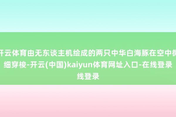 开云体育由无东谈主机绘成的两只中华白海豚在空中微细穿梭-开云(中国)kaiyun体育网址入口-在线登录