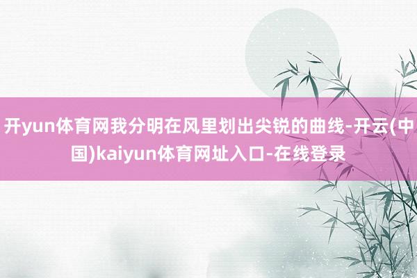 开yun体育网我分明在风里划出尖锐的曲线-开云(中国)kaiyun体育网址入口-在线登录