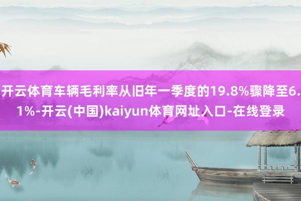 开云体育车辆毛利率从旧年一季度的19.8%骤降至6.1%-开云(中国)kaiyun体育网址入口-在线登录