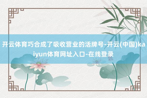 开云体育巧合成了吸收营业的活牌号-开云(中国)kaiyun体育网址入口-在线登录