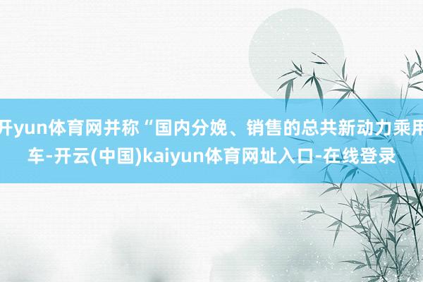 开yun体育网并称“国内分娩、销售的总共新动力乘用车-开云(中国)kaiyun体育网址入口-在线登录