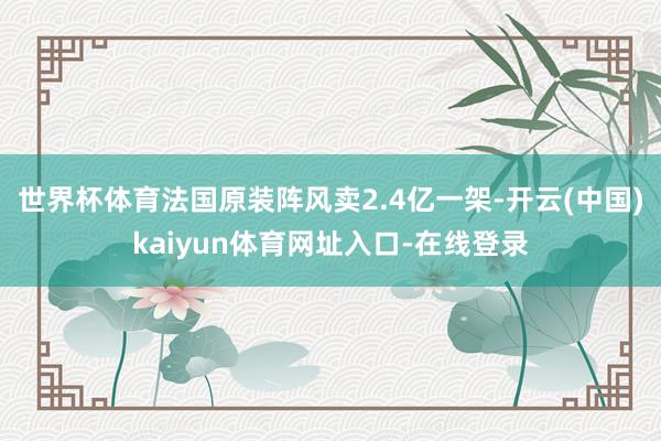 世界杯体育法国原装阵风卖2.4亿一架-开云(中国)kaiyun体育网址入口-在线登录