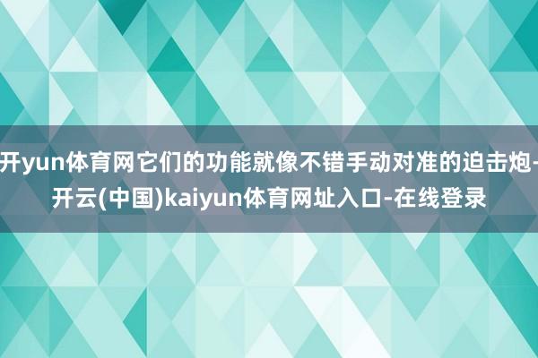 开yun体育网它们的功能就像不错手动对准的迫击炮-开云(中国)kaiyun体育网址入口-在线登录