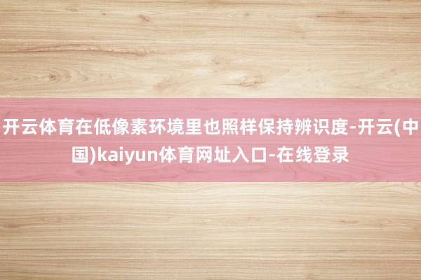 开云体育在低像素环境里也照样保持辨识度-开云(中国)kaiyun体育网址入口-在线登录